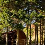 The Quiet Site