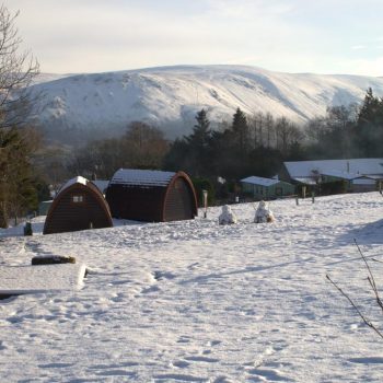 The Quiet Site